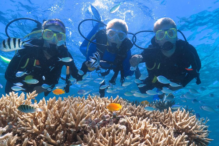 Quicksilver Great Barrier Reef Snorkel Cruise from Port Douglas