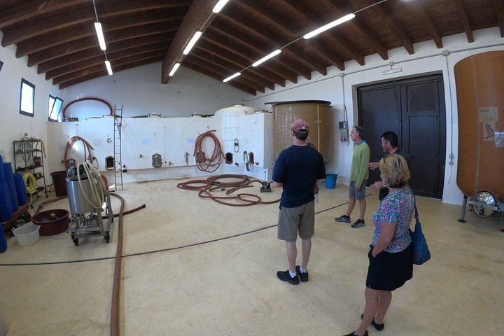 Small-Group Food and Wine Tour from Cagliari
