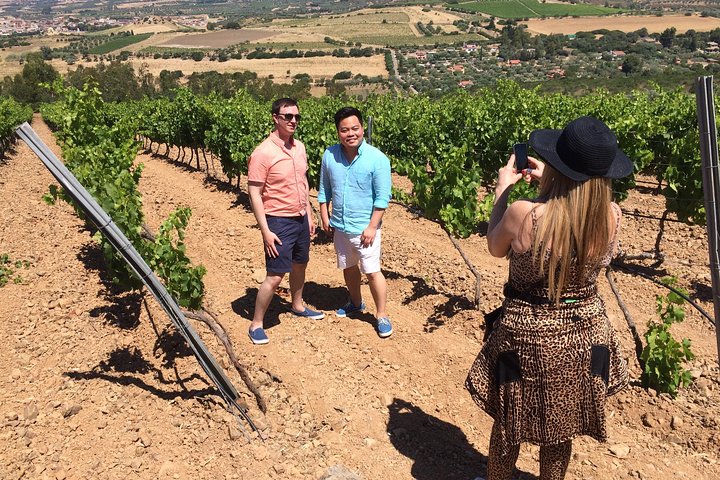 Small-Group Food and Wine Tour from Cagliari