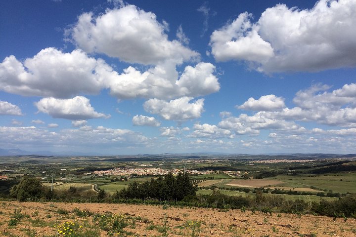 Small-Group Food and Wine Tour from Cagliari