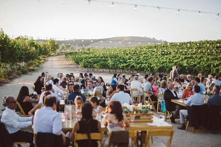 Temecula's Premier Wine Tasting Tour