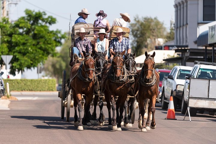 Cobb & Co Stagecoach Experience in Longreach