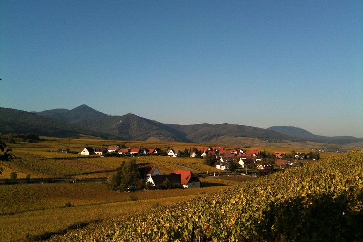 Private excursion: the best of Alsace in one day !