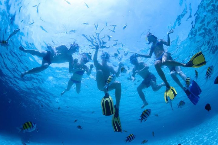 Maui: 2.5 Hour Xpress Snorkel from Ka’anapali Beach