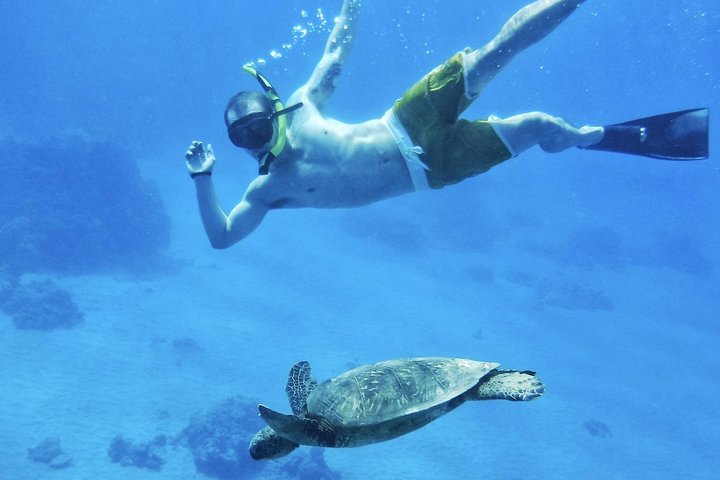 Maui: 2.5 Hour Xpress Snorkel from Ka’anapali Beach