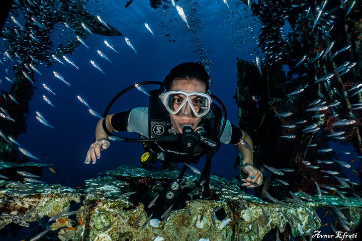 Introduction diving at Coral Reef with Instructor - 40 minutes