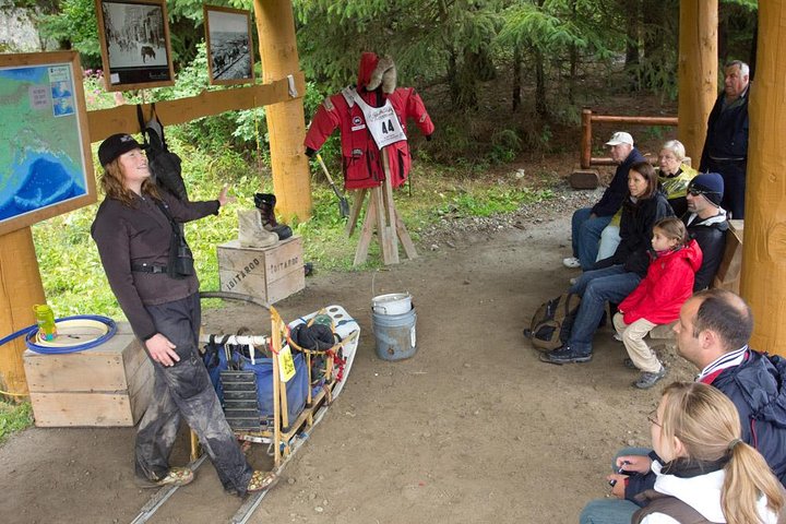 Musher's Camp® & Sled Dog Adventure in Skagway