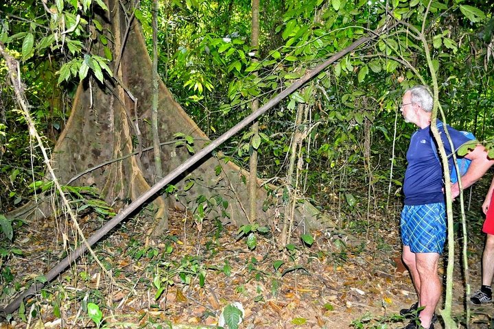 1 Day Khao Sok Jungle Safari and 2 Days Cheow Lan Lake Explorer from Krabi