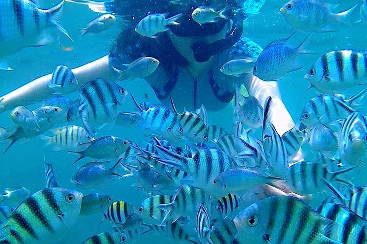 Bintan Snorkeling Tour
