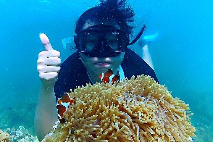 Bintan Snorkeling Tour