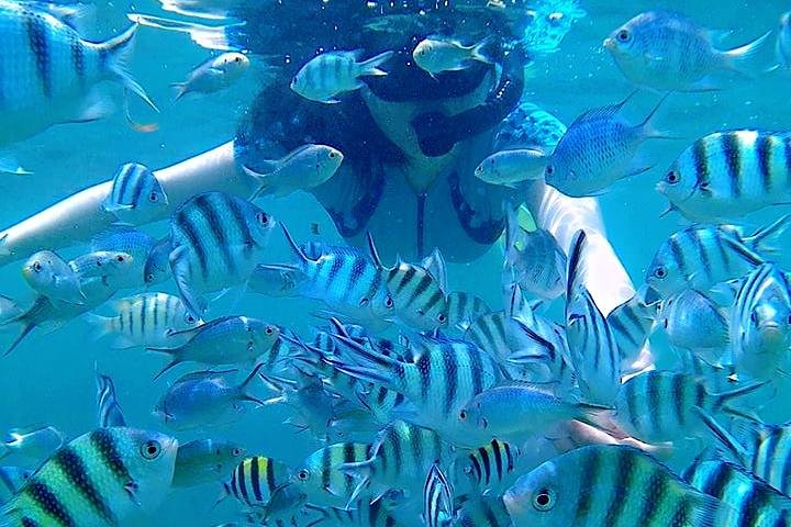 Bintan Snorkeling Tour