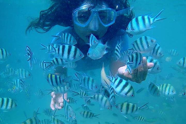 Bintan Snorkeling Tour
