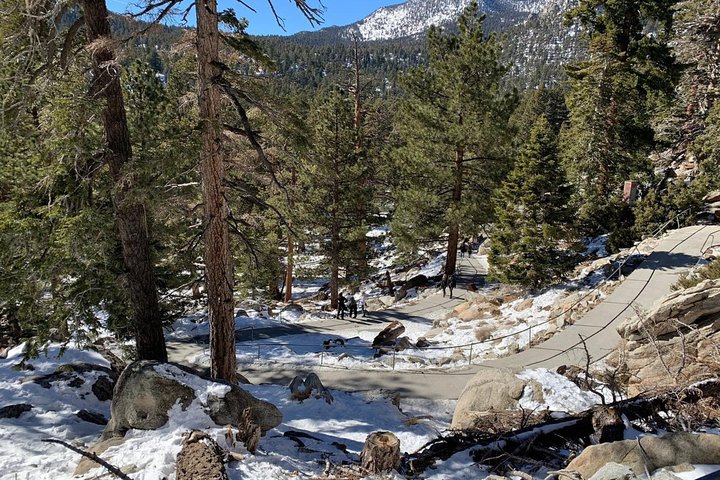Palm Springs Aerial Tramway Admission Ticket