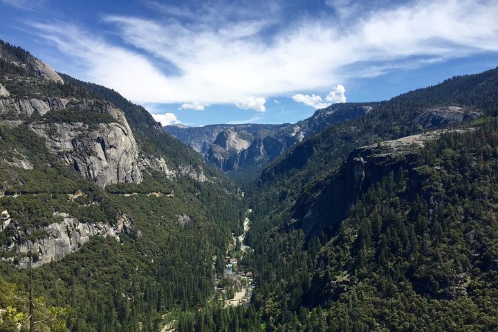 Small Group Yosemite and Giant Sequoias Day Trip from San Francisco