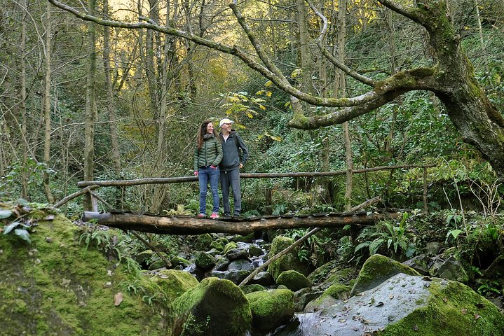 Private Hiking Tour to Mtirala National Park from Batumi