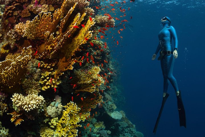 Try Freediving on Nusa Penida