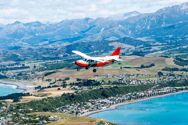 Kaikoura: Whale Watching Flight