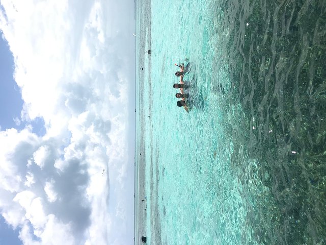 Hol Chan Full-Day Bucket List Snorkeling and Marine Life Tour