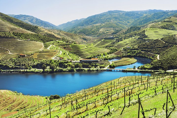 Douro Valley Small Group Tour: 2 Wineries, Lunch & River Cruise