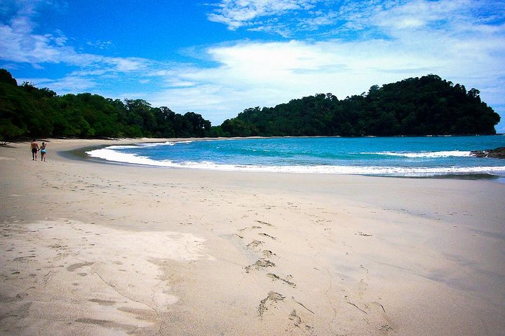 Manuel Antonio Park Nature Guided Tour with a Nature Specialist