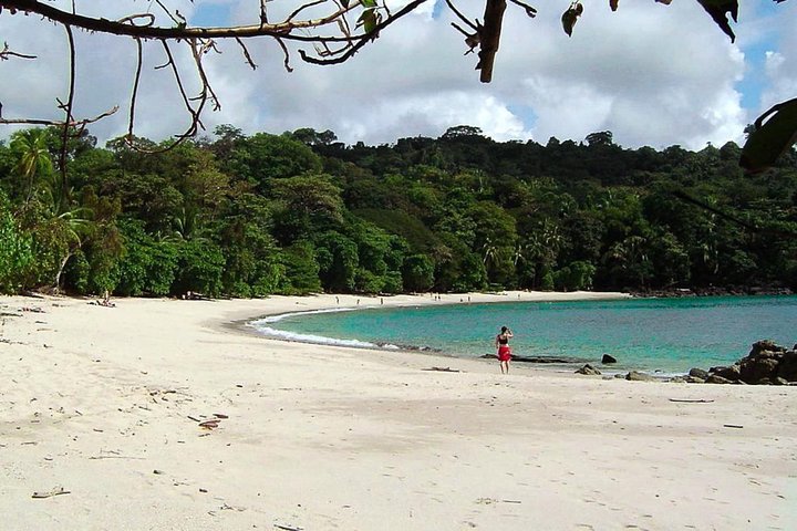 Manuel Antonio Park Nature Guided Tour with a Nature Specialist