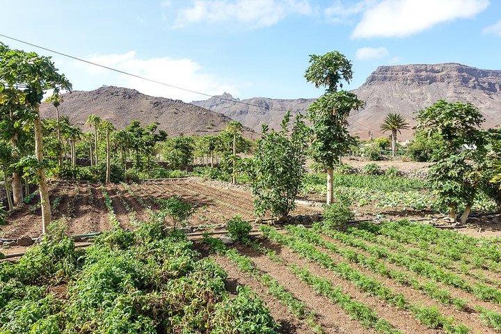 Full Day Island Tour, Highlights of São Vicente