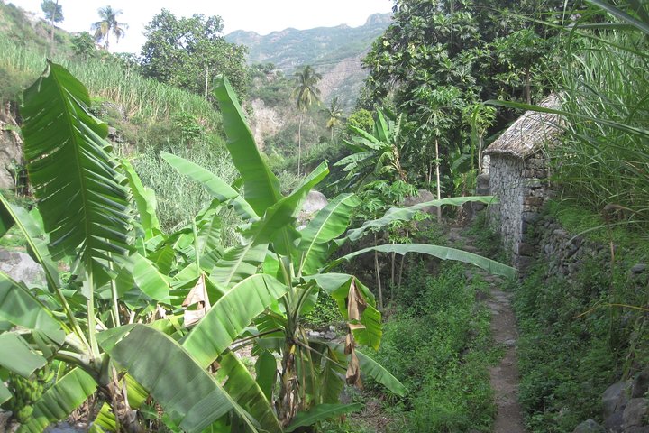 Discover Santo Antão: Day Trip by Car or Guided Trek