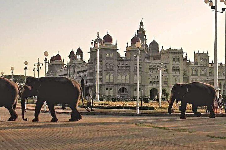 Best of Mysore, UNESCO Somnathpur Temple & Srirangapatna Day Tour