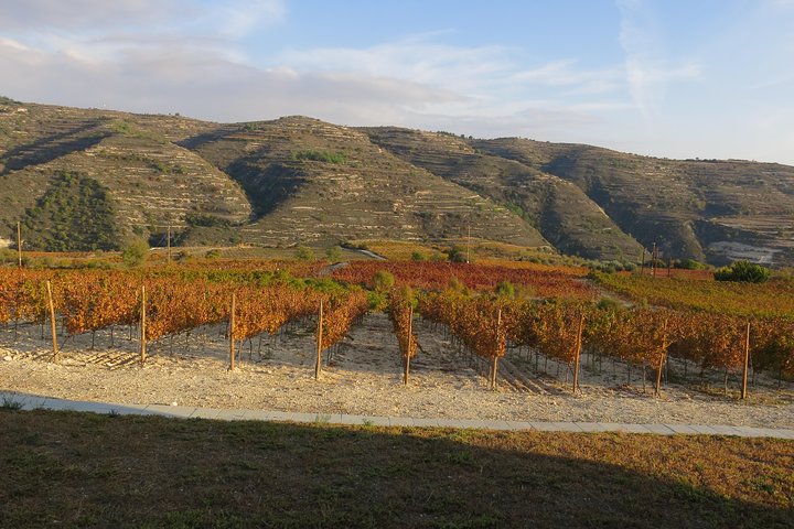 Troodos Mountains Vino Venture: All Inclusive Full Day Wine Tour