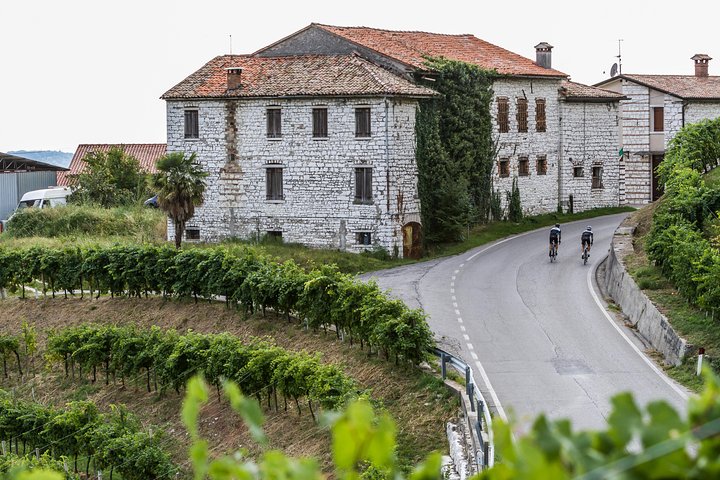 Full day Private Prosecco Tour, with certified Sommelier