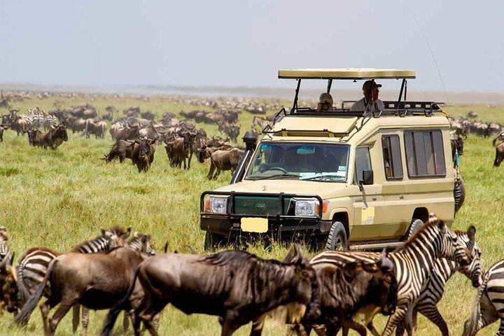 15 Days Spectacular Kenya & Tanzania Safari with Zanzibar Beach