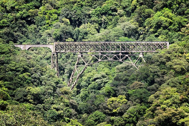 Scenic Train ride to historical cities of Morretes and Antonina
