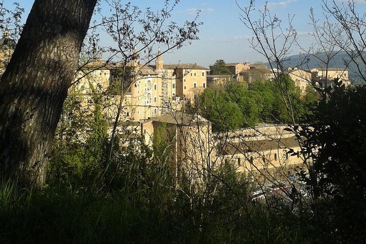 Visit of the Ducal Palace of Urbino