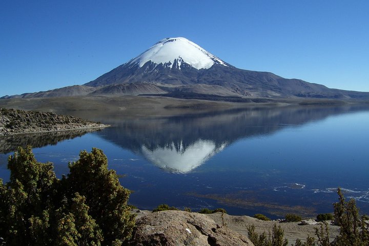Arica: Full day to Lauca National Park and Chungara Lake, meals included