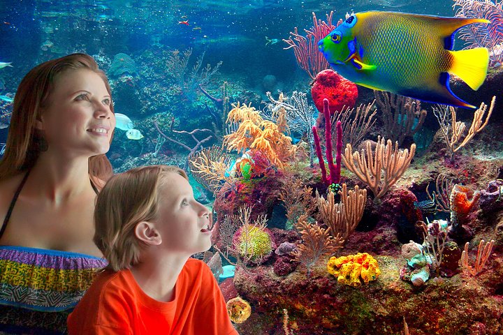 Xcaret Park Day Trip, transportation and Cultural Night Show