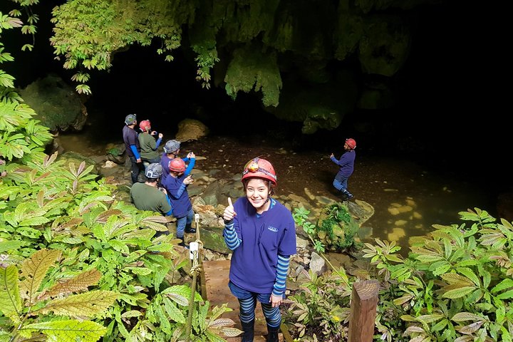 Private Waitomo Glowworm Cave Tours