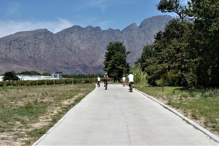 Franschhoek Sip & Cycle Experience Half Day - Private Tour