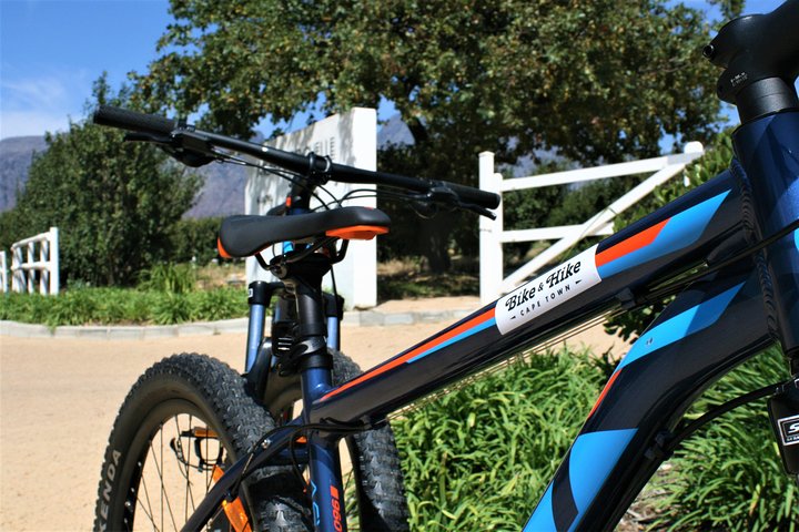 Franschhoek Sip & Cycle Experience Half Day - Private Tour