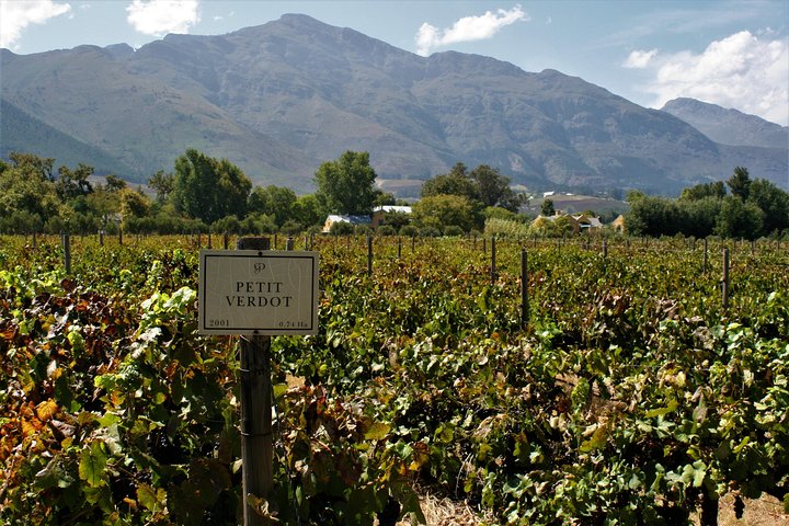Franschhoek Sip & Cycle Experience Half Day - Private Tour
