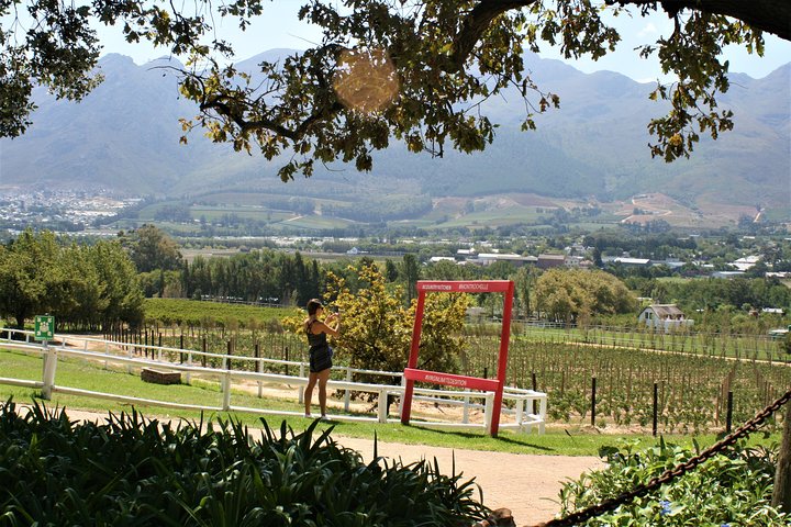 Franschhoek Sip & Cycle Experience Half Day - Private Tour
