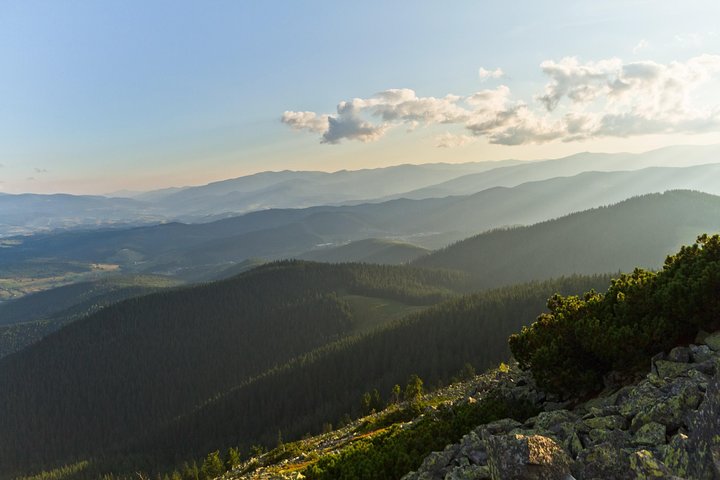 Wild Carpathians: discovering Gorgany (private tour)