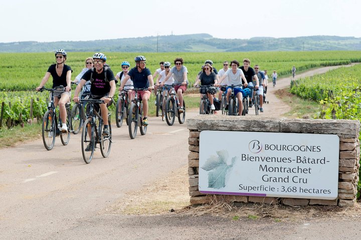 Burgundy Bike Tour with Wine Tasting from Beaune