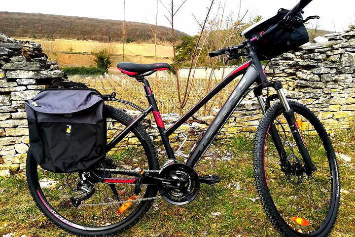 Burgundy Bike Tour with Wine Tasting from Beaune