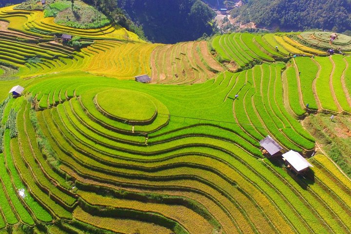 Private transfer Hanoi Mu Cang Chai One Way (Hotel pickup)