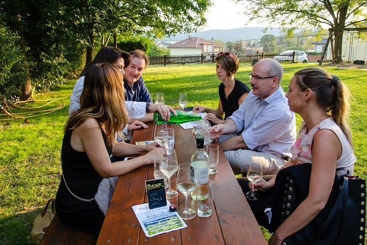 Countryside Half Day Wine Tour near Vienna with meal & transfer