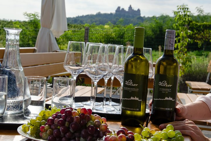 Countryside Half Day Wine Tour near Vienna with meal & transfer