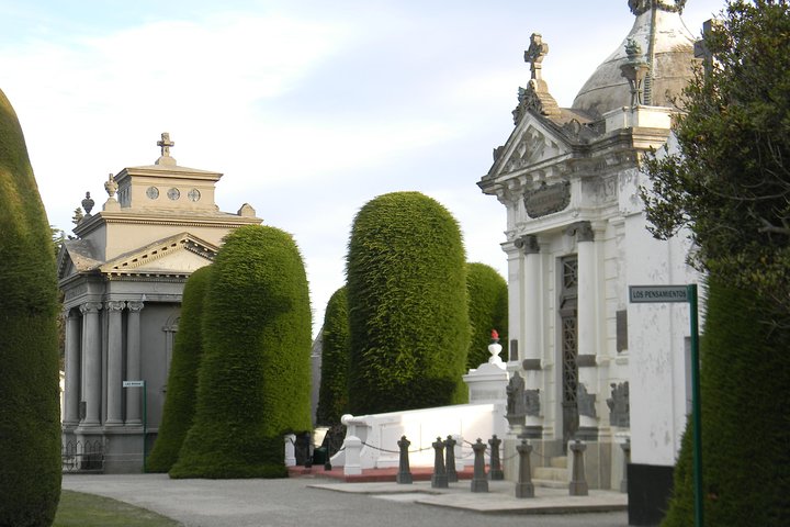 Punta Arenas Signature Shore Experience