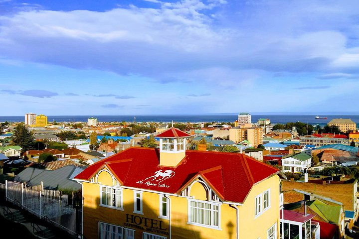 Punta Arenas Signature Shore Experience