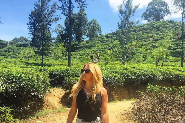 03 Days Highlights Of Sigiriya,Kandy,Nuwara Eliya ,Ella & Udawalawe