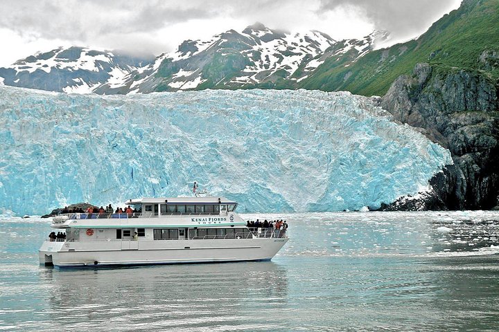 Seward: Whale Watching & Glacier Dinner Cruise